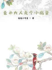 圣女大人是个小捣蛋