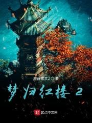 梦归红楼2