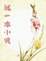 就一本小说