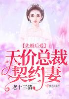 斐总裁的奋斗好生活