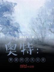 奥特:赛迦的次元公会