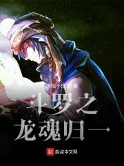 斗罗之龙魂归一