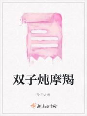 双子炖摩羯