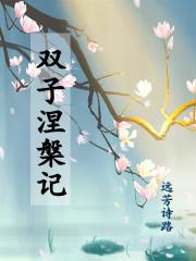 双子涅槃记之姐姐又挂了