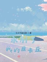 永别了,我的皮卡丘