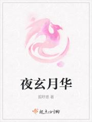 夜玄月华