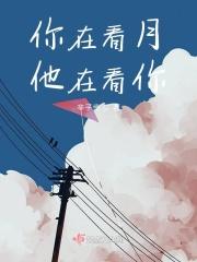 你在看月他在看你