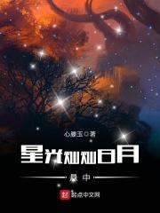 星光灿灿日月悬中