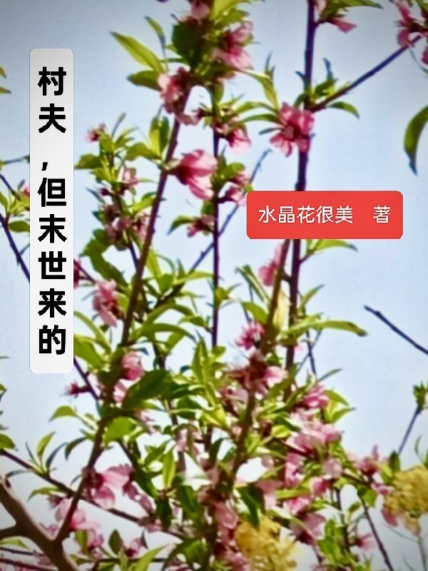 村夫，但末世来的